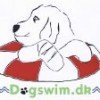 dogswim_dk